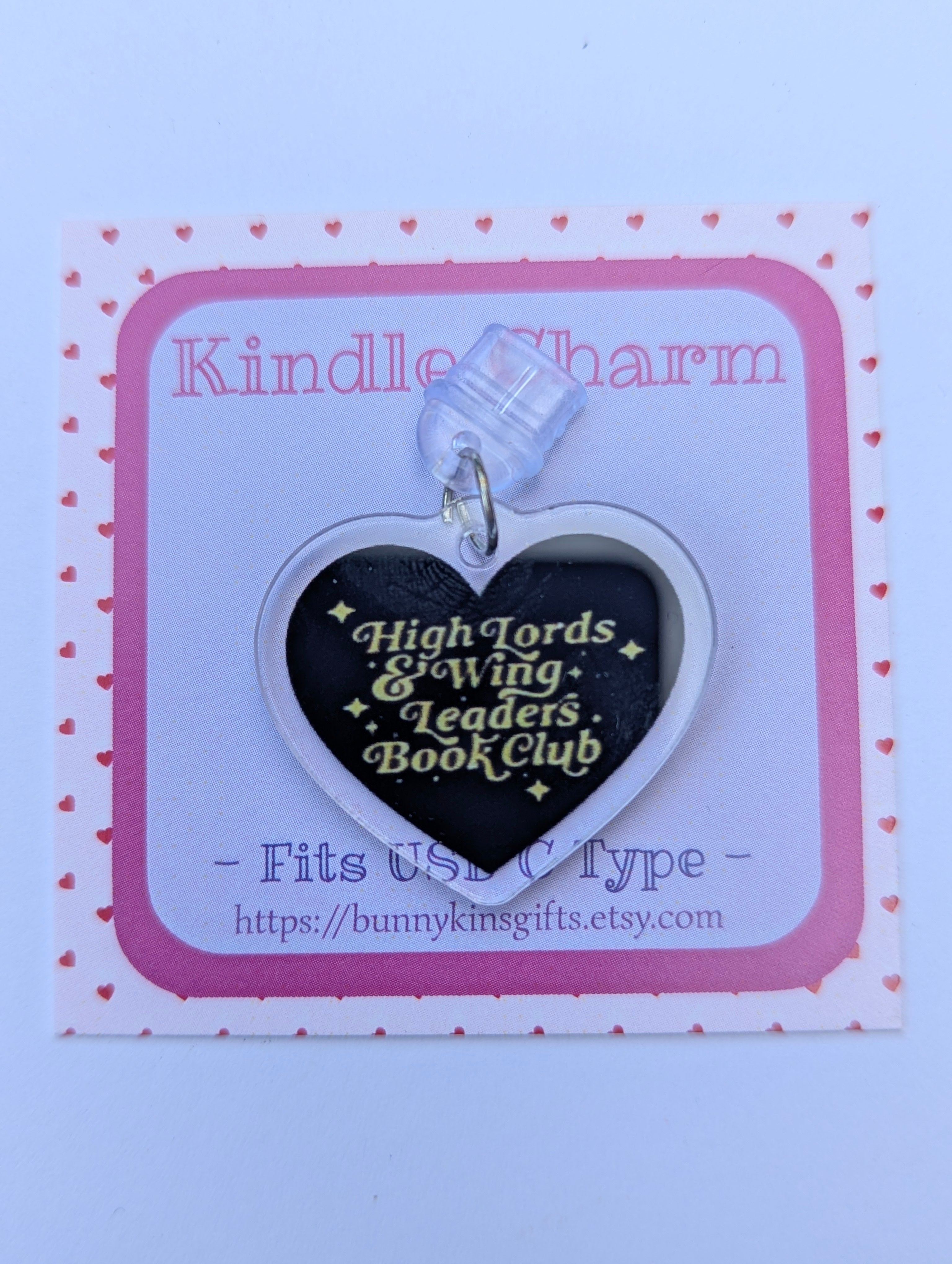High Lords & Wingleaders Kindle Charm for USB-C Port - Decorate your E-Readers or Phone
